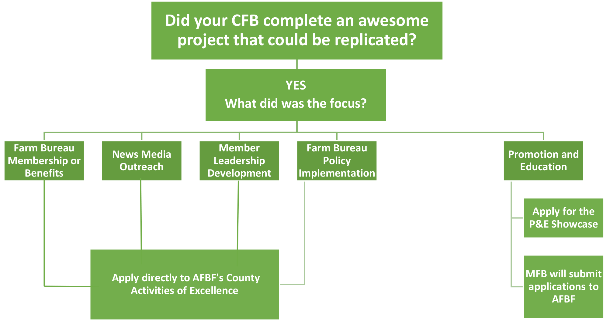 Promotion and Education Showcase Flowchart 