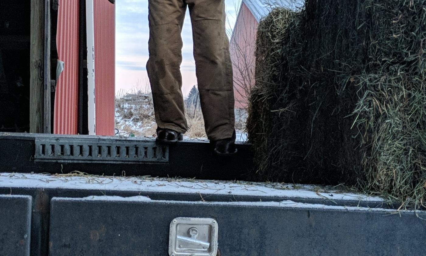 Matt loading hay