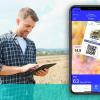 A farmer looking at his smart phone while standing in a field with an image of a smart phone displaying a FieldClock app superimposed over it.